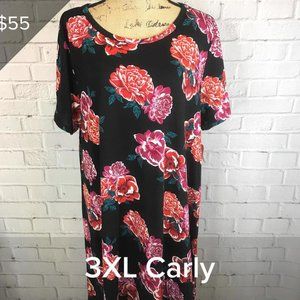3XL Red & Burgundy Flowers on Black Carly Swing Dress by LuLaRoe